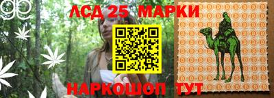 прущий лед Славгород