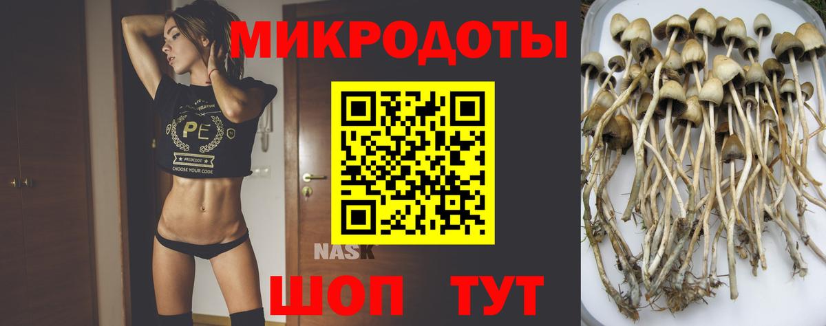 Ахтубинск  Псилоцибиновые грибы ЛСД  Псилоцибиновые грибы ЛСД  Вход с VPN 